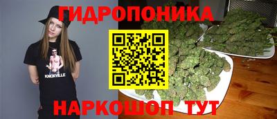 дмт Кинель