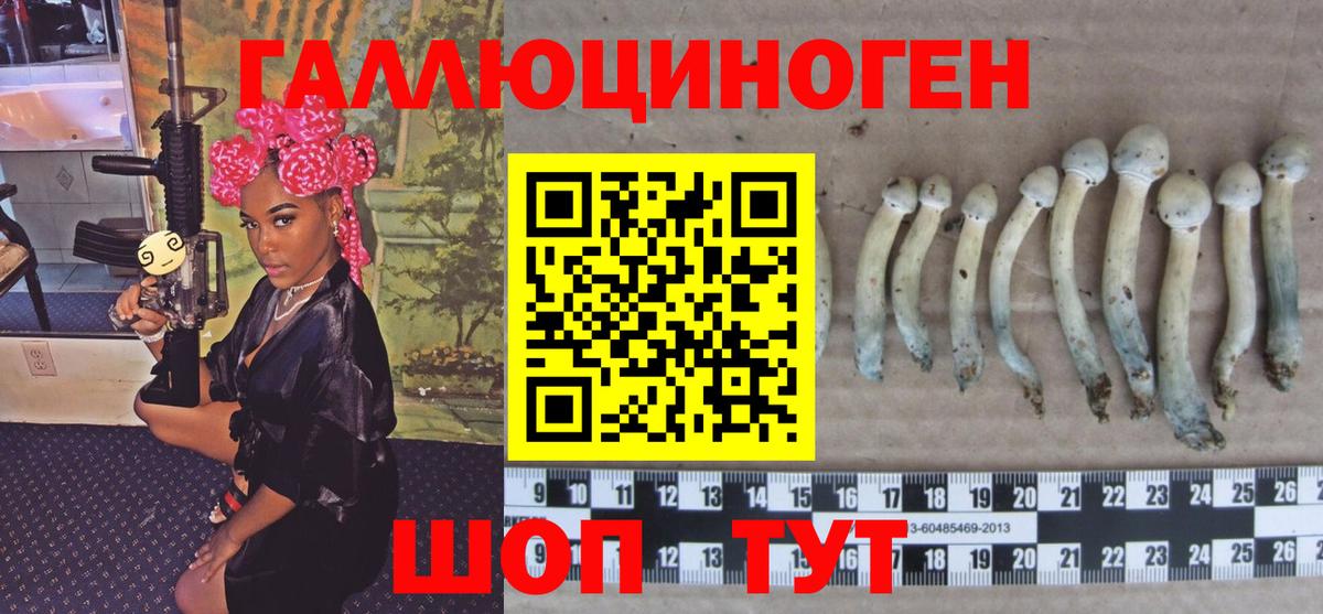 Псилоцибиновые грибы прущие грибы  Галлюциногенные грибы Psilocybe  Вход с VPN  Лениногорск 